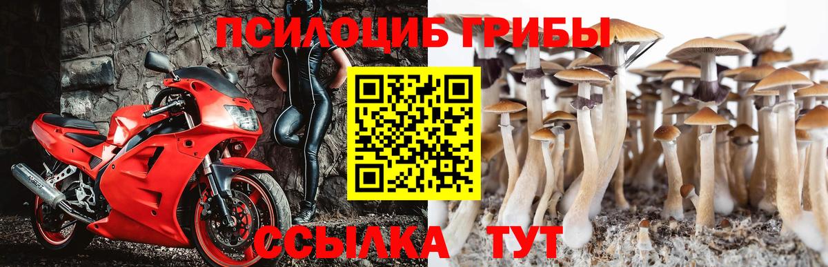 Галлюциногенные грибы Magic Shrooms  Вход с VPN  Видное 